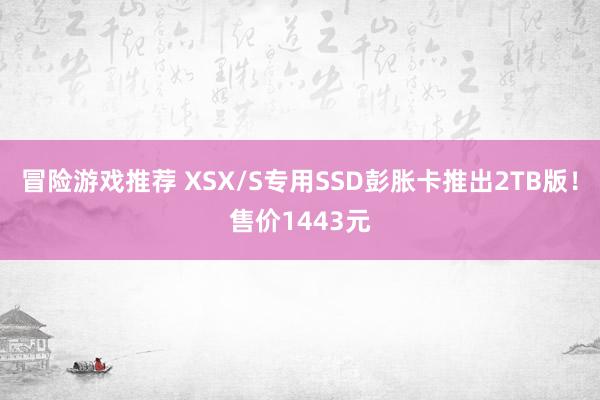 冒险游戏推荐 XSX/S专用SSD彭胀卡推出2TB版！售价1443元