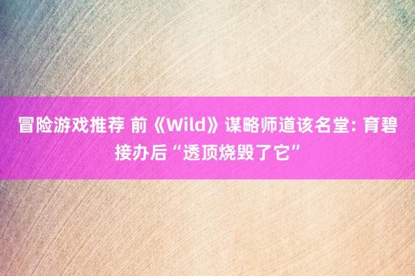 冒险游戏推荐 前《Wild》谋略师道该名堂: 育碧接办后“透顶烧毁了它”